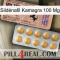 Sildénafil Kamagra 100 Mg 41